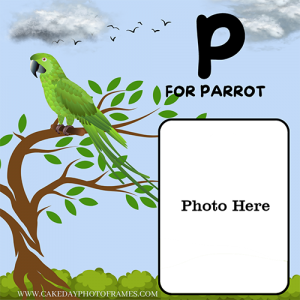 P for Parrot Word Photoframe Learn the Alphabet with a Parrot